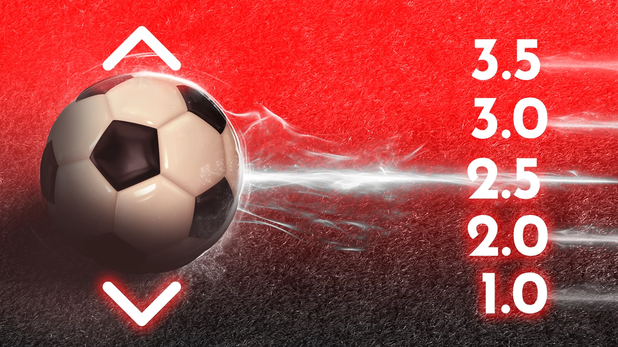 Sports betting account setup